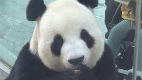 虎子全程吃瓜,揭秘娱乐圈幕后风云