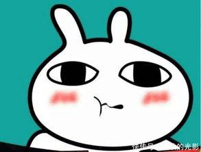 最惨的吃瓜动画,揭秘最惨吃瓜动画背后的惊心动魄故事