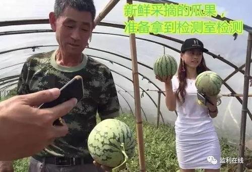 夏天吃瓜群众直播,夏日瓜香直播盛宴