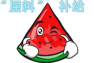 吃瓜现场短剧,短剧里的欢乐与智慧