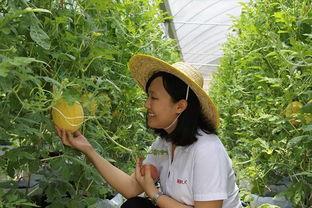 青州董博文吃瓜,揭秘背后真相与网络舆论风暴