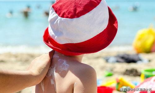 2025夏日吃瓜节,炎炎夏日，尽享清凉美食盛宴