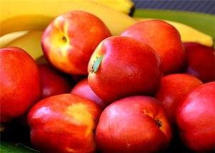 油桃和梨瓜能一起吃吗