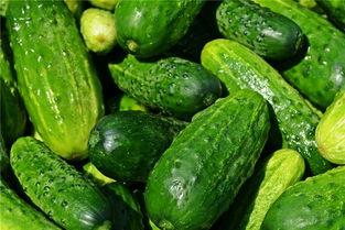 秋梦吃瓜,一场别开生面的吃瓜盛宴