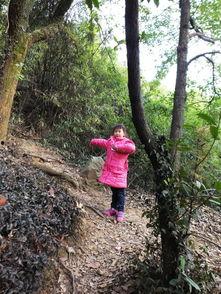 公园爬山吃瓜,山间小憩吃瓜乐享悠闲时光