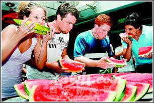 吃瓜老外事件,揭秘跨国文化交流中的误会与反思